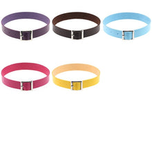 Load image into Gallery viewer, Sweet Retro Punk Rock Leather Collar Fashion Collar Bone Necklace, Random Color Delivery - Mega Discount Store Ghana